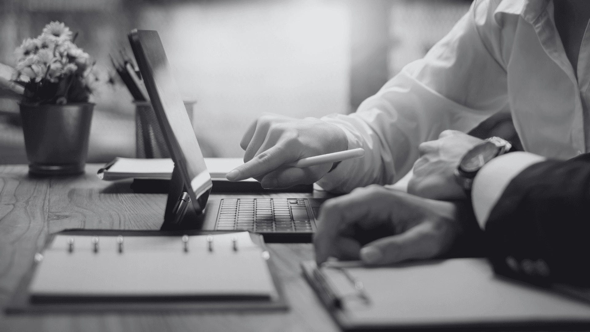 LvS Marketing Pricing and Packages for NYC Small Businesses
